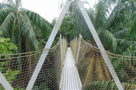 Lekki Conservation Centre: A Wildlife Haven and Picturesque Oasis in Lagos!